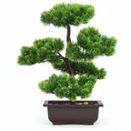 Kuroyashi Artificial Pine Bonsai Tree eprolo