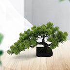 Kuroyashi Desktop Pine Bonsai Tree eprolo