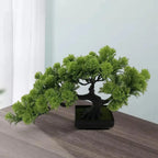Kuroyashi Desktop Pine Bonsai Tree eprolo