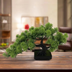 Kuroyashi Desktop Pine Bonsai Tree eprolo