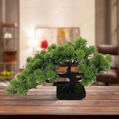 Kuroyashi Desktop Pine Bonsai Tree eprolo
